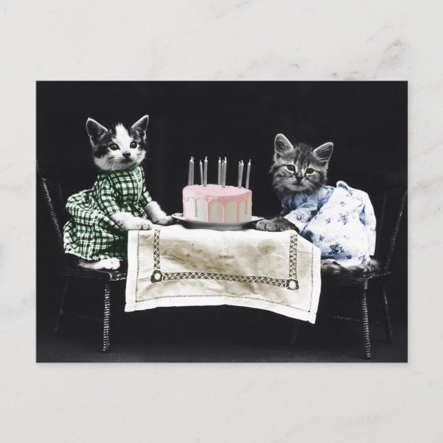 Cats celebrating a birthday with cake and candles postkarte (Vorderseite)