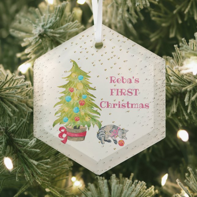 Cats erstes Weihnachtsglas-Ornament Ornament Aus Glas (Insitu)