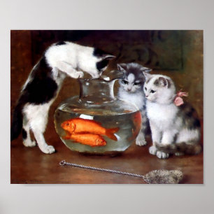 Cats Fishing in Goldfish bowl Poster