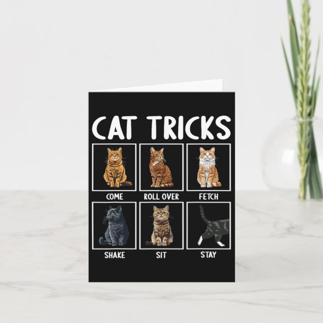 Cats Funny Cat Tricks Karte (Vorderseite)
