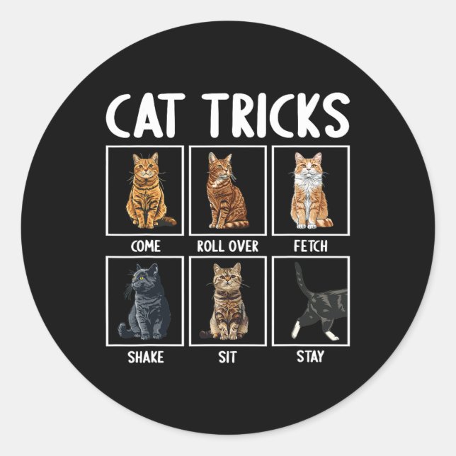 Cats Funny Cat Tricks Runder Aufkleber (Vorderseite)