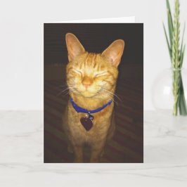 Cats Geburtstag wünscht Gruß Karte