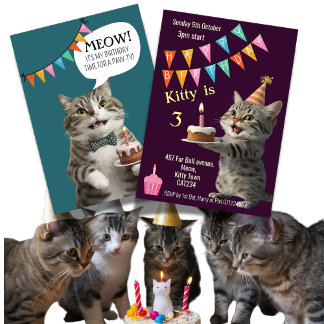 Cat's Geburtstagsparty Kätzchen Feier Einladung
