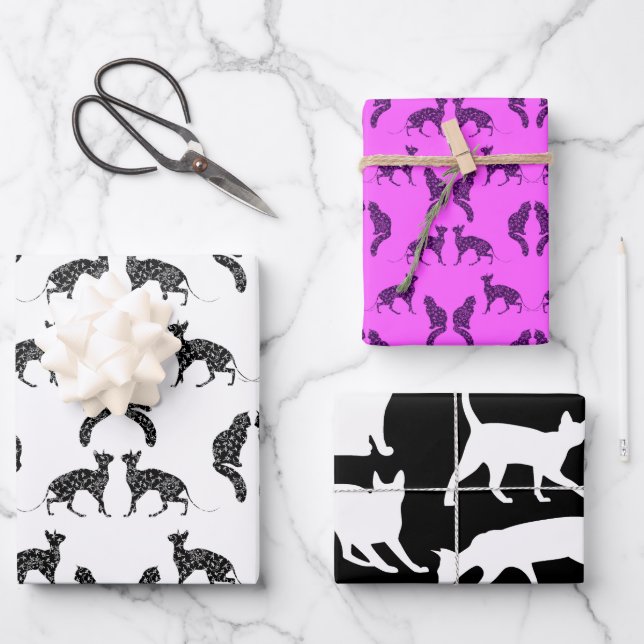 Cats Geschenkpapier Set (Vorderseite)