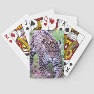 Cats Jaguar Safari Jungle Destiny Nature Peace Spielkarten
