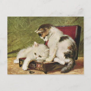 Cats Kitten Vintage Illustration Art Postkarte