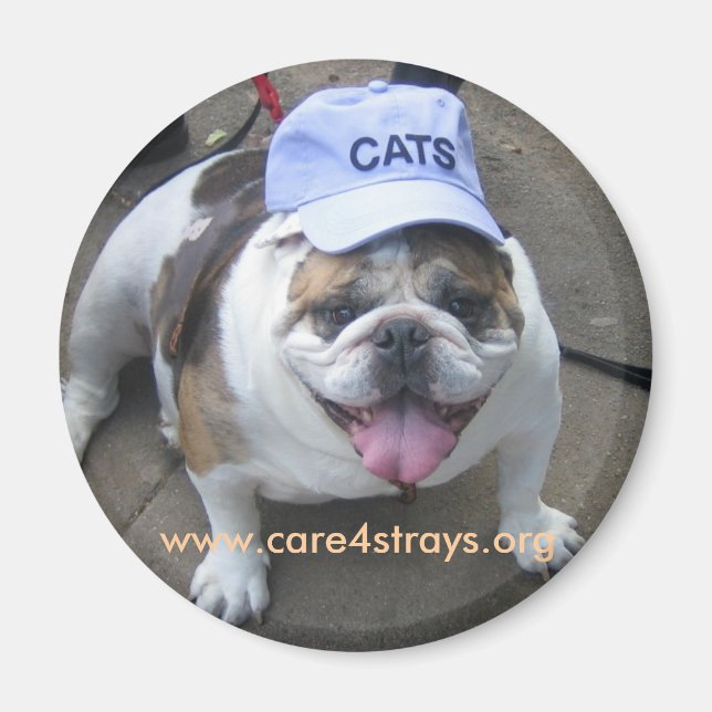 CATS-Magnet: Magnet (Vorne)