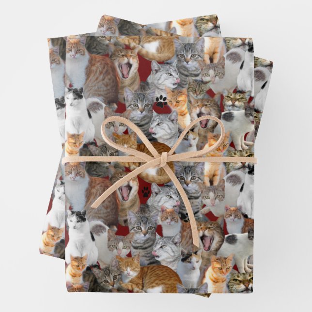 Cats meeting point - collage  geschenkpapier set (Beispiel)