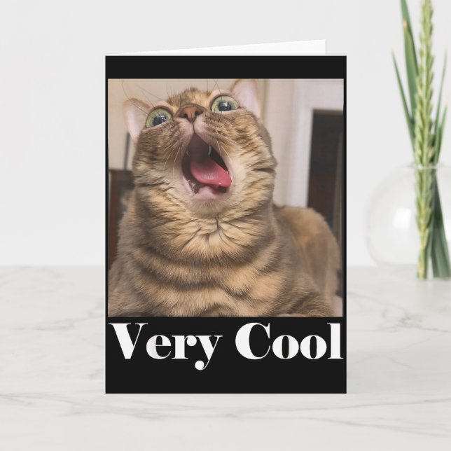 Cats Meme Graphic Silly Cat Humor Funny Cat Very C Karte (Vorderseite)