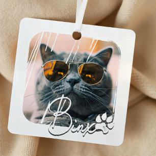 Cat's Modern Simple Cool Grunge Name and Foto Ornament Aus Metall
