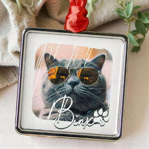 Cat's Modern Simple Cool Grunge Name and Foto Ornament Aus Metall
