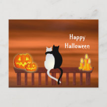 Cats Pumpkins Candles Halloween Postcard