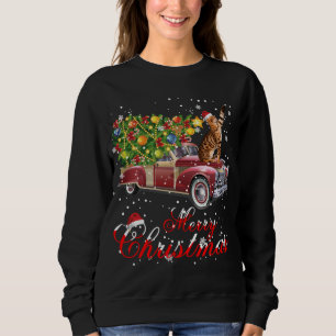 Cats Rides Red Truck Weihnachten Pajama Sweatshirt