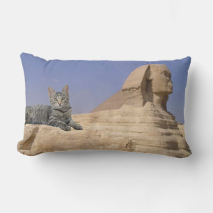 Cats Rule.Throw Pillow Lendenkissen