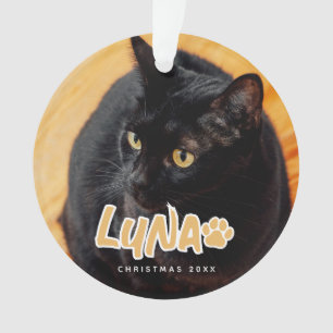 Cat's Simple Modern Playful Typografy Name Foto Ornament