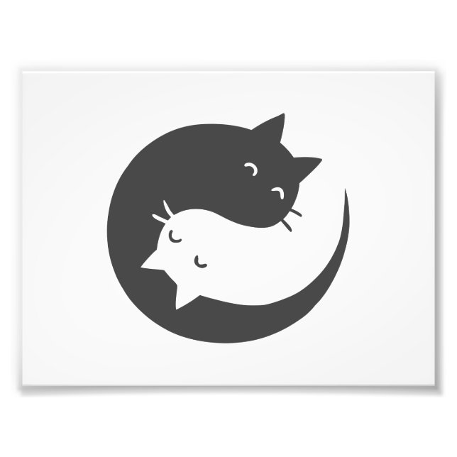 Cats yin and yang mandala - Wählen Sie Hintergrund Fotodruck (Vorne)