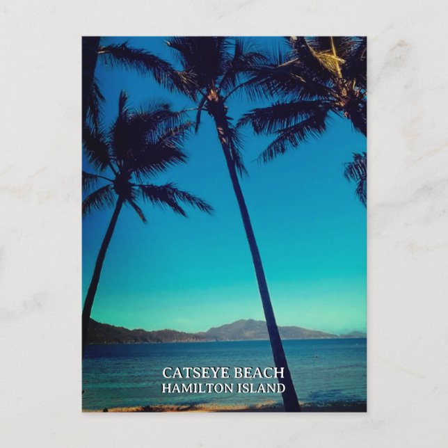 Catseye Beach, Hamilton Island Postkarte (Vorderseite)
