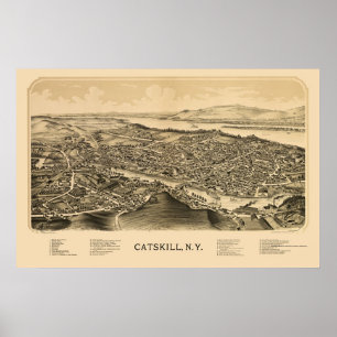 Catskill, NY panoramische Karte - 1889 Poster