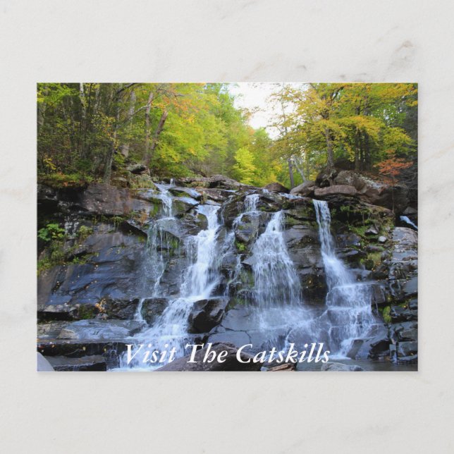 CatSkills Postkarte 1 (Vorderseite)
