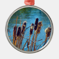 Cattails auf dem Teich