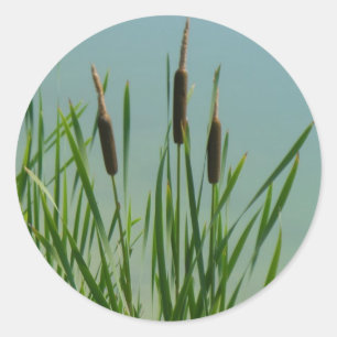 Cattails Runder Aufkleber