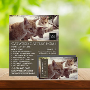 Cattery, Boarding-Service, Werbung Flyer