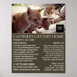 Cattery, Boarding-Service, Werbung Poster