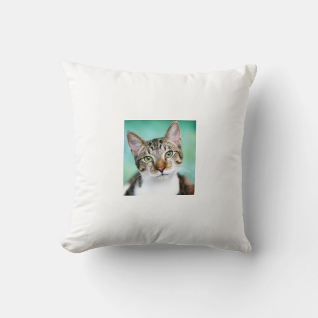 CatThrow Pillow Kissen (Vorderseite)