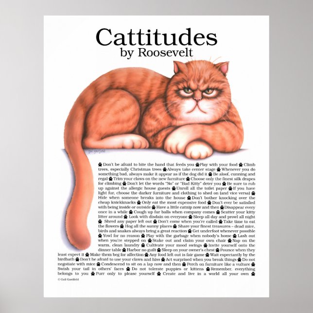 Cattitudes Poster (Vorne)