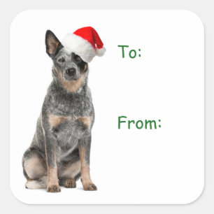 Cattle Dog Weihnachtsgeschenke Stickers