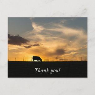 Cattle Sunset Silhouette Postkarte