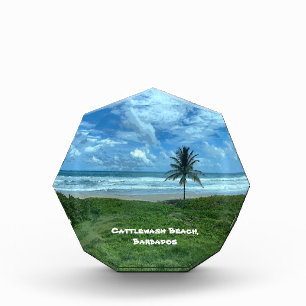 Cattlewash Beach, Barbados Fotoblock