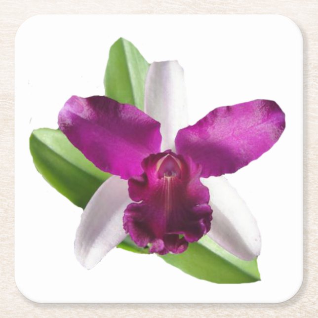 Cattleya Orchid-Blume Rechteckiger Pappuntersetzer (Vorderseite)