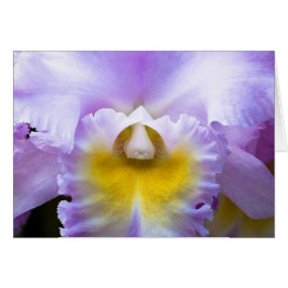Cattleya Orchid Card