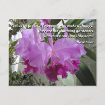 Cattleya Orchid Liebe und Freundschaft Postkarte