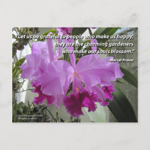 Cattleya Orchid Liebe und Freundschaft Postkarte