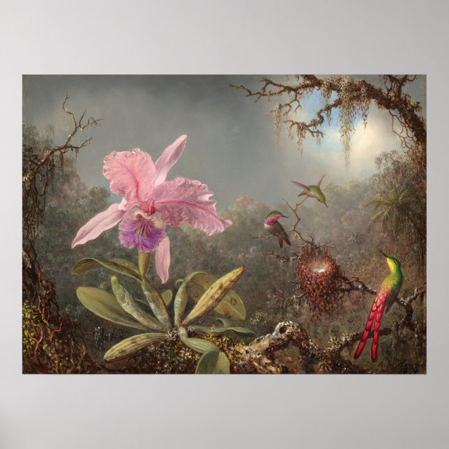 Cattleya Orchid - Martin Heade Fine Art Poster (Vorne)