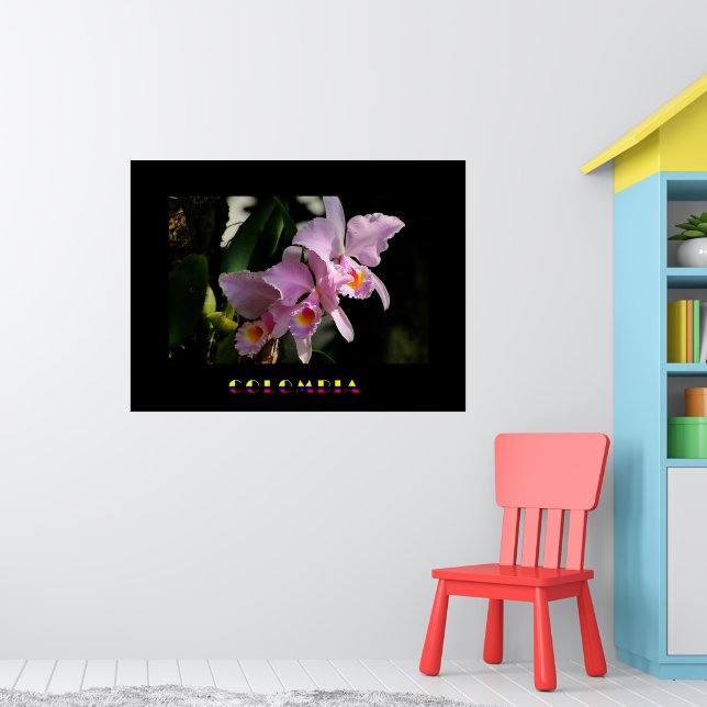 Cattleya Orchid Poster (Kinderzimmer 1)