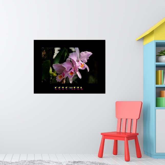 Cattleya Orchid Poster (Kinderzimmer 1)