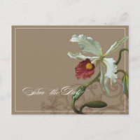 Cattleya Orchid Taupe - Save the Date Postkarte