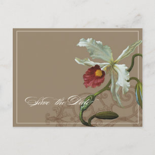 Cattleya Orchid Taupe - Save the Date Postkarte