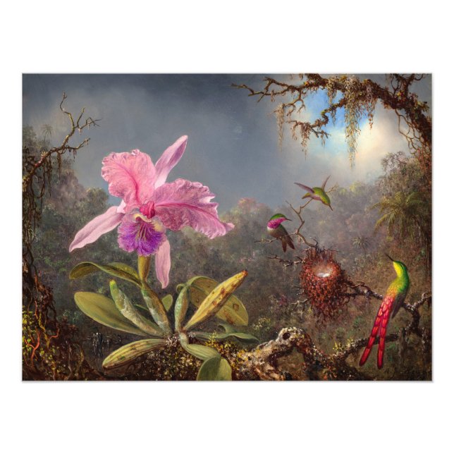 Cattleya Orchid und Three Hummingbirds by Heade Fotodruck (Vorne)