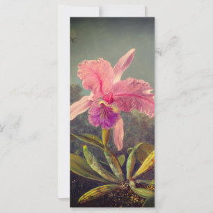 Cattleya Orchid und Three Hummingbirds Heade Card