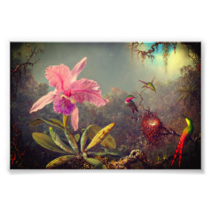 Cattleya Orchid und Three Hummingbirds Heade Fotodruck