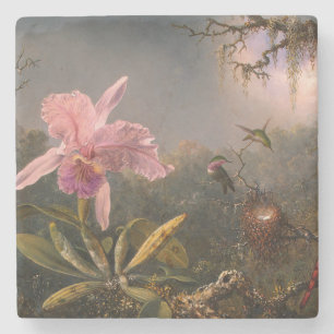 Cattleya Orchid und Three Hummingbirds (Heade) Steinuntersetzer