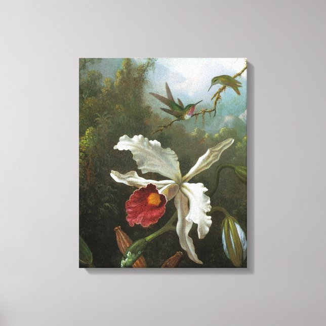 Cattleya Orchid Wrapped Canvas Leinwanddruck (Vorderseite)