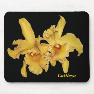 Cattleya Orchidee Mousepad