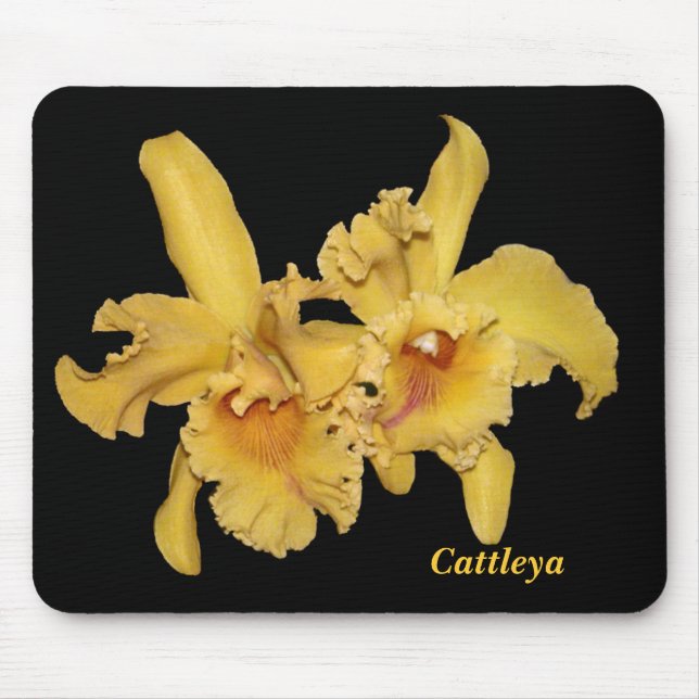 Cattleya Orchidee Mousepad (Vorne)