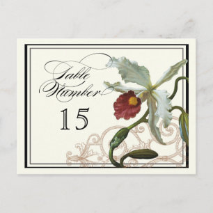 Cattleya Orchidee taupe - Tischplatzkarten-Nummern Postkarte