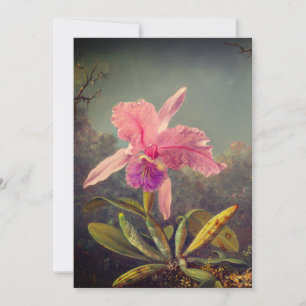 Cattleya-Orchidee und drei Kolibris Heade Einladung